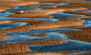 Beach buoy